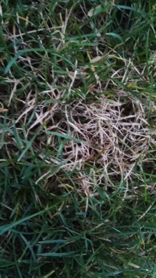 IMG_20190112_164326.jpg