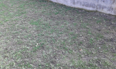 190201052309128862-min.jpg