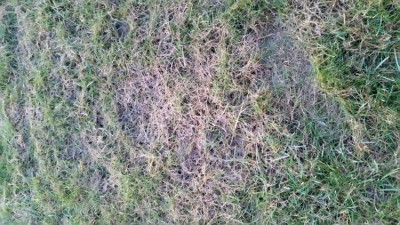 20190216_180351.jpg