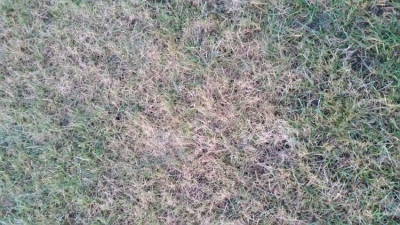 20190216_180304.jpg