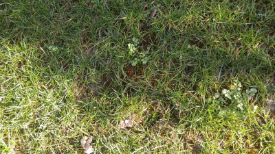 DSC_0062.jpg