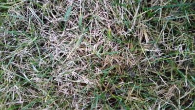 20190219_074528.jpg