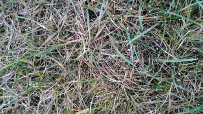 20190219_074517.jpg