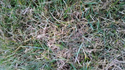 20190219_074459.jpg