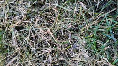 20190219_074445.jpg