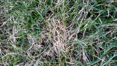 20190219_074431.jpg