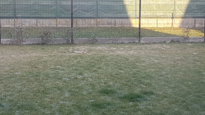 20190216_090503.jpg