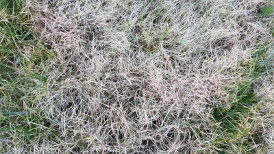 20190215_172002.jpg