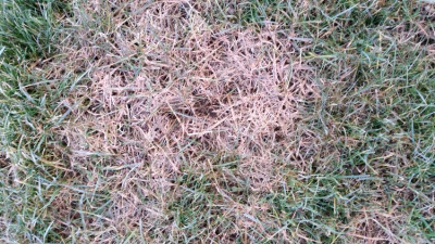 20190221_080342.jpg