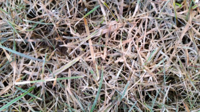 20190221_080339.jpg