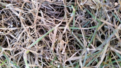 20190221_080323.jpg