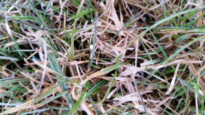 20190221_080301.jpg