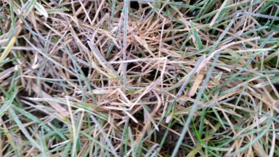 20190221_080252.jpg