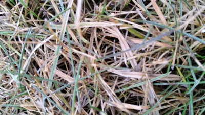 20190221_080242.jpg