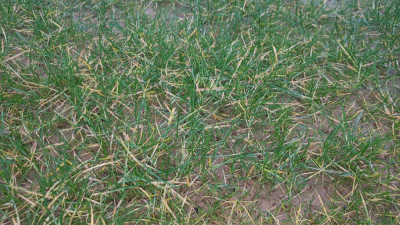 20190302_095957.jpg