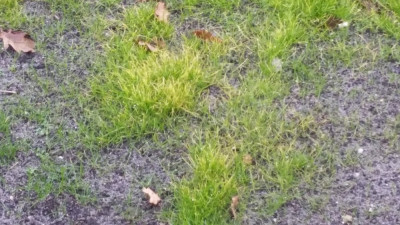 1551111812-20190126-1316401.jpg