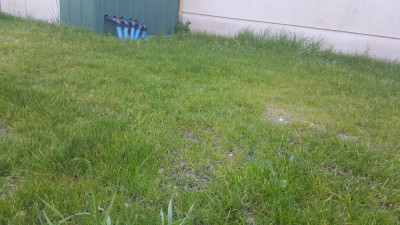 20190303_134703_resized.jpg