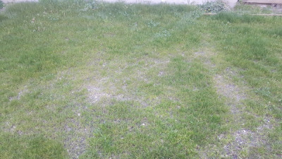 20190303_134719_resized.jpg