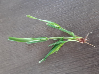 20190310_114012.jpg