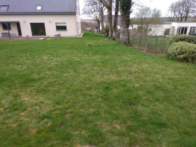 P_20190316_142635-1040x780.jpg