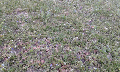 20190317_182512.jpg
