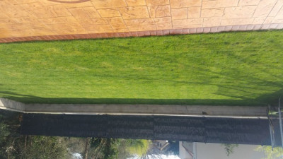 IMG-20190316-WA0008.jpeg