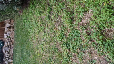 20190316_164455.jpg
