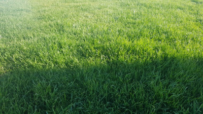 20190321_163644.jpg