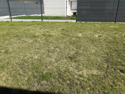 20190324_150803.jpg