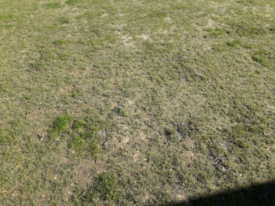 20190324_150651.jpg