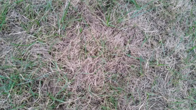 20190326_185912.jpg