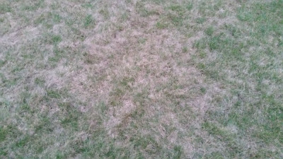 20190326_185854.jpg
