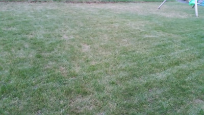 20190326_185841.jpg
