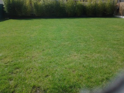 20160401_124744.jpg