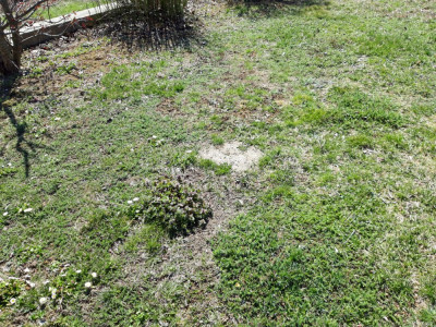 20190330_111837.jpg