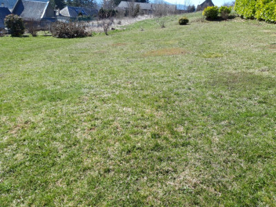 20190330_111926.jpg