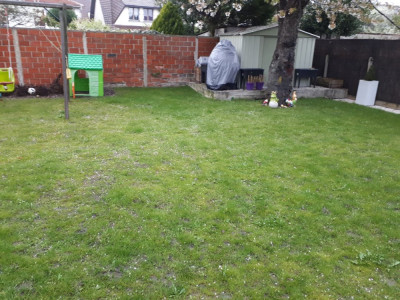 vue globale du jardin de 150m²
