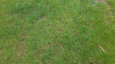 20190403_104110.jpg