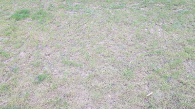 20190403_104113.jpg