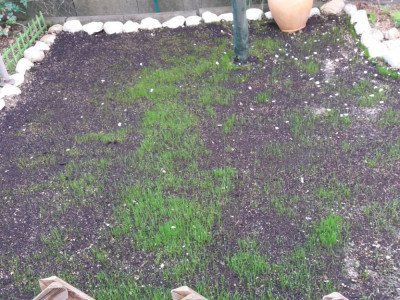 20190403_154003.jpg