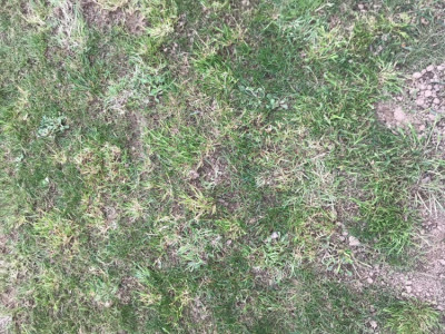 D65C1C55-8176-4A86-A0F4-B40F62E234E0.jpeg