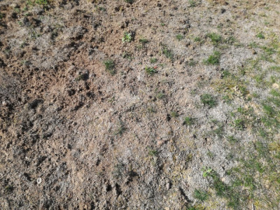 IMG_20190330_095740.jpg