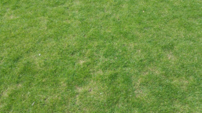 20190407_144456.jpg