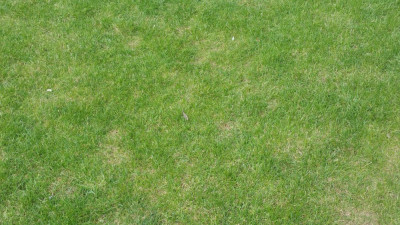 20190407_144511.jpg
