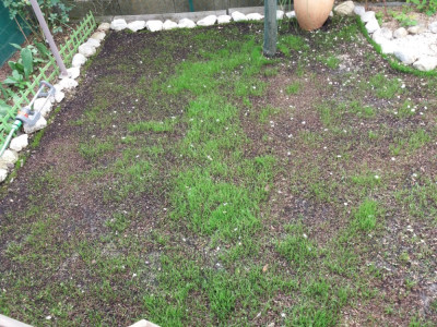 20190407_150457.jpg