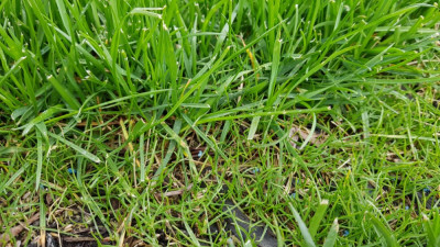 20190407_172432.jpg