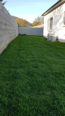 20190408_181341.jpg