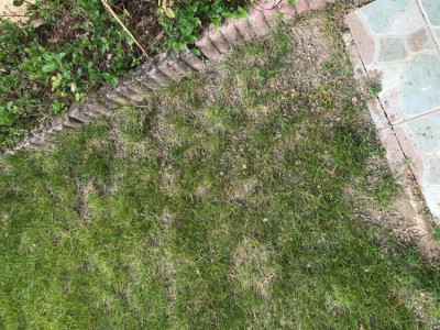 3E0F8CBE-D6CB-4A35-A2CA-78552C7421E2.jpeg