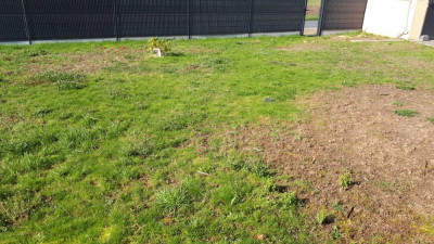 20190321_105322.jpg