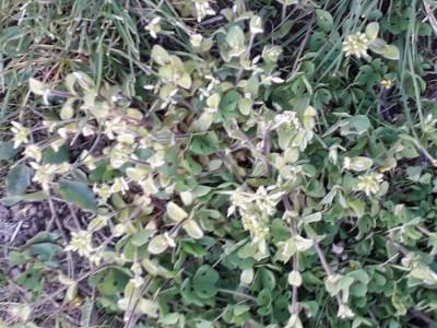 20190414_201357.jpg